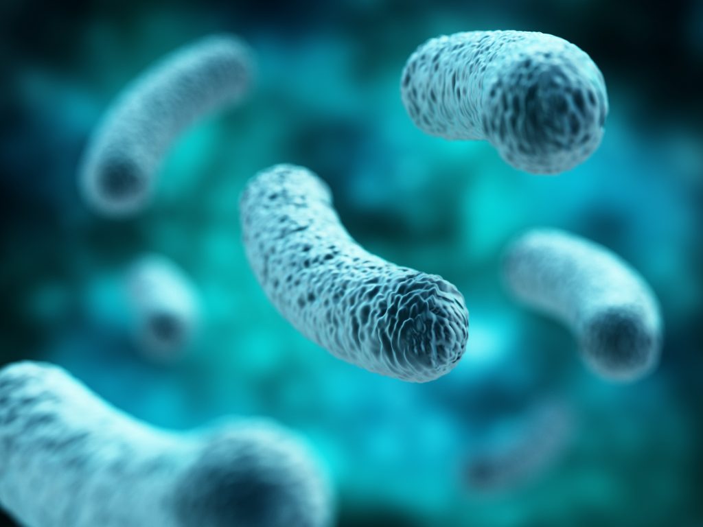 Legionella