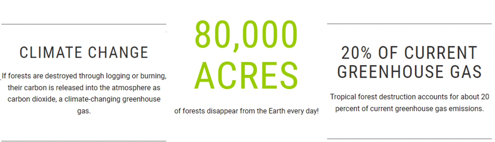 Pinchin Celebrates National Tree Day